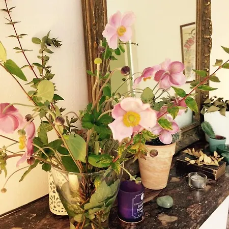 Panzió Le Manoir Des Doyens Bayeux