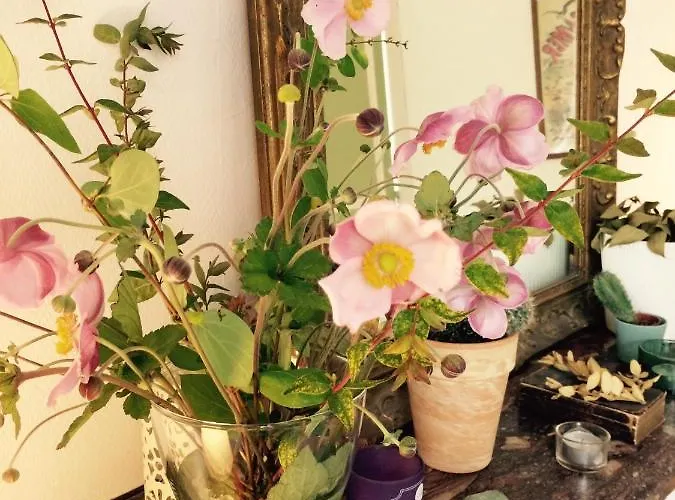 Nocleg ze śniadaniem Le Manoir Des Doyens Bayeux