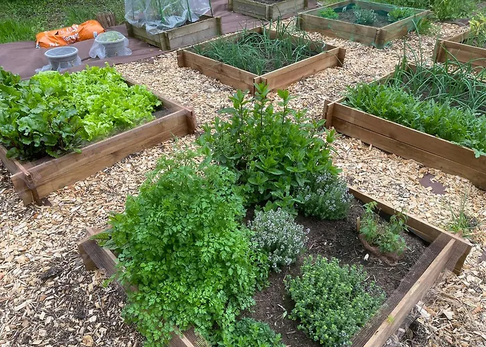 Le Manoir Des Doyens Nocleg ze śniadaniem Bayeux