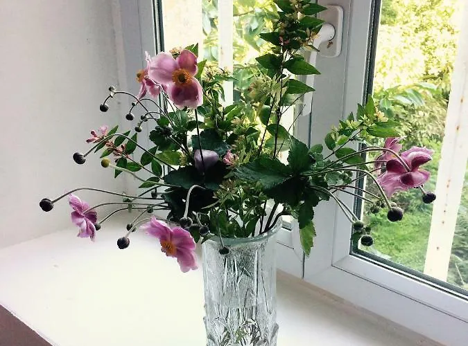 Le Manoir Des Doyens 3*