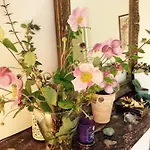 Bed & Breakfast Le Manoir Des Doyens Bayeux