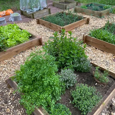 Le Manoir Des Doyens Bed & Breakfast Bayeux