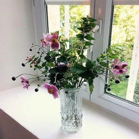 Le Manoir Des Doyens 3*