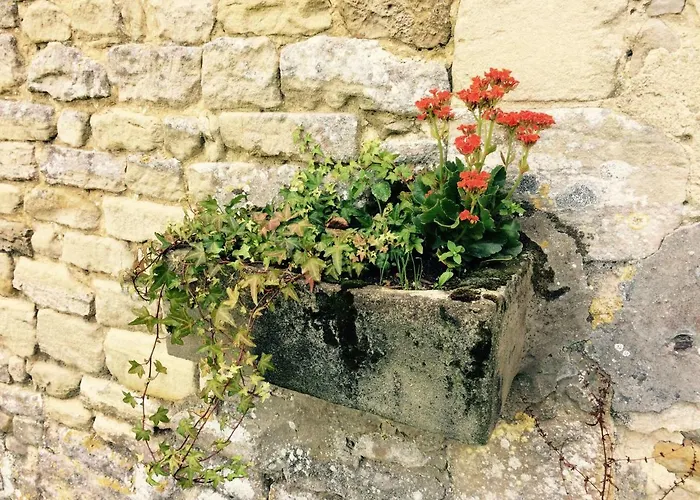 Le Manoir Des Doyens Bayeux